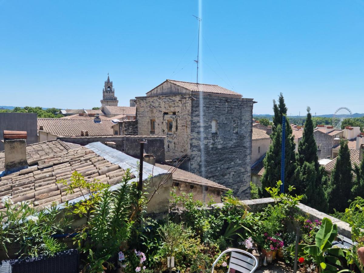 Un Nid Sur Les Toits Face Au Palais Des Papes Avignone