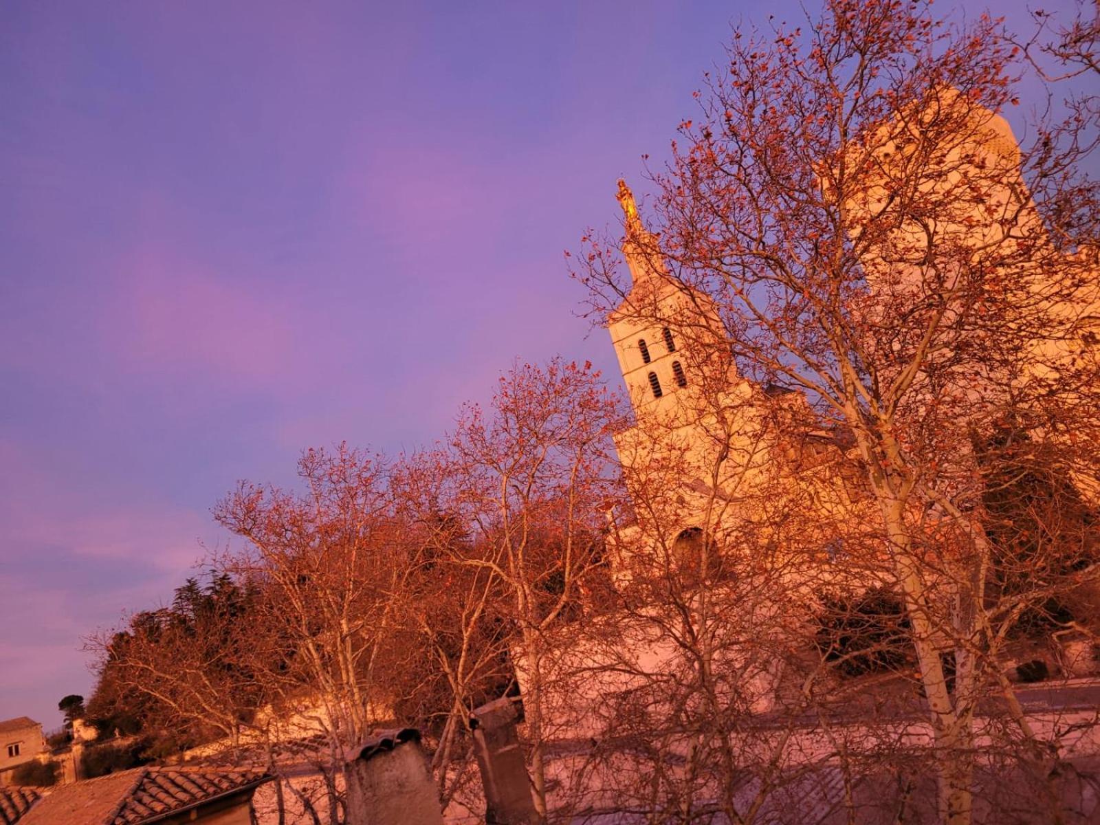 Un Nid Sur Les Toits Face Au Palais Des Papes *
