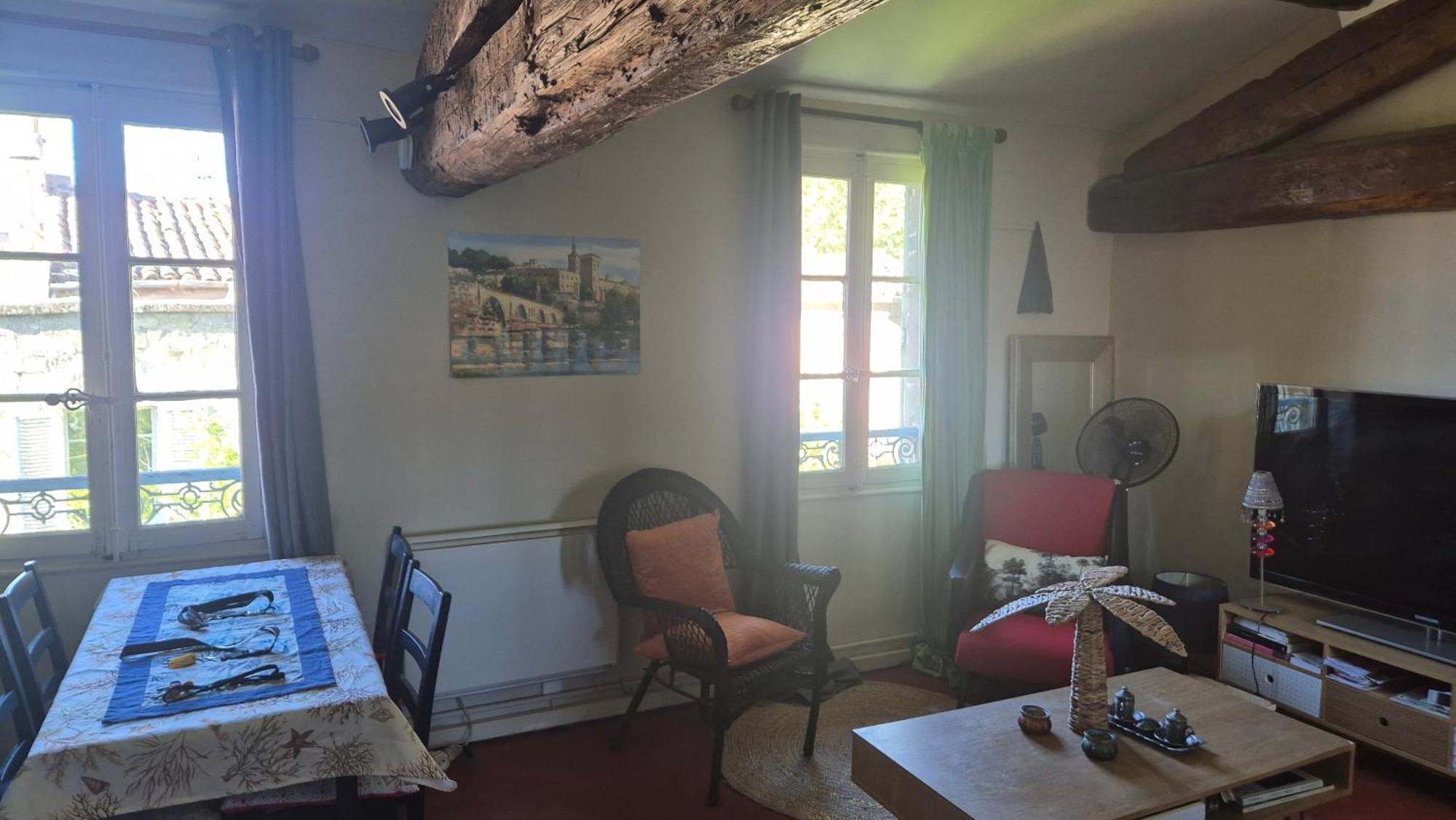 Un Nid Sur Les Toits Face Au Palais Des Papes Avignone