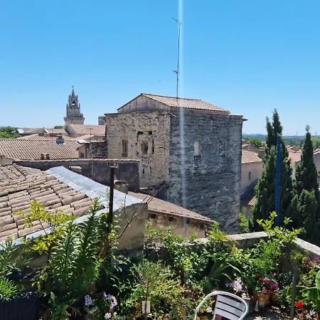 Appartamento Un Nid Sur Les Toits Face Au Palais Des Papes Avignone Esterno foto