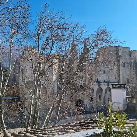 Appartamento Un Nid Sur Les Toits Face Au Palais Des Papes Avignone Esterno foto