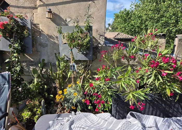 Un Nid Sur Les Toits Face Au Palais Des Papes