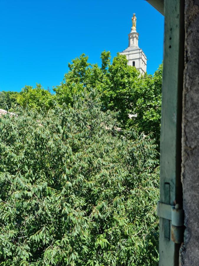 Un Nid Sur Les Toits Face Au Palais Des Papes Apartment *