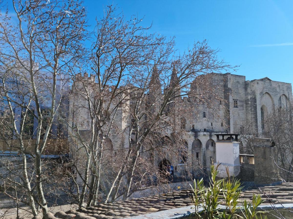 Apartment Un Nid Sur Les Toits Face Au Palais Des Papes