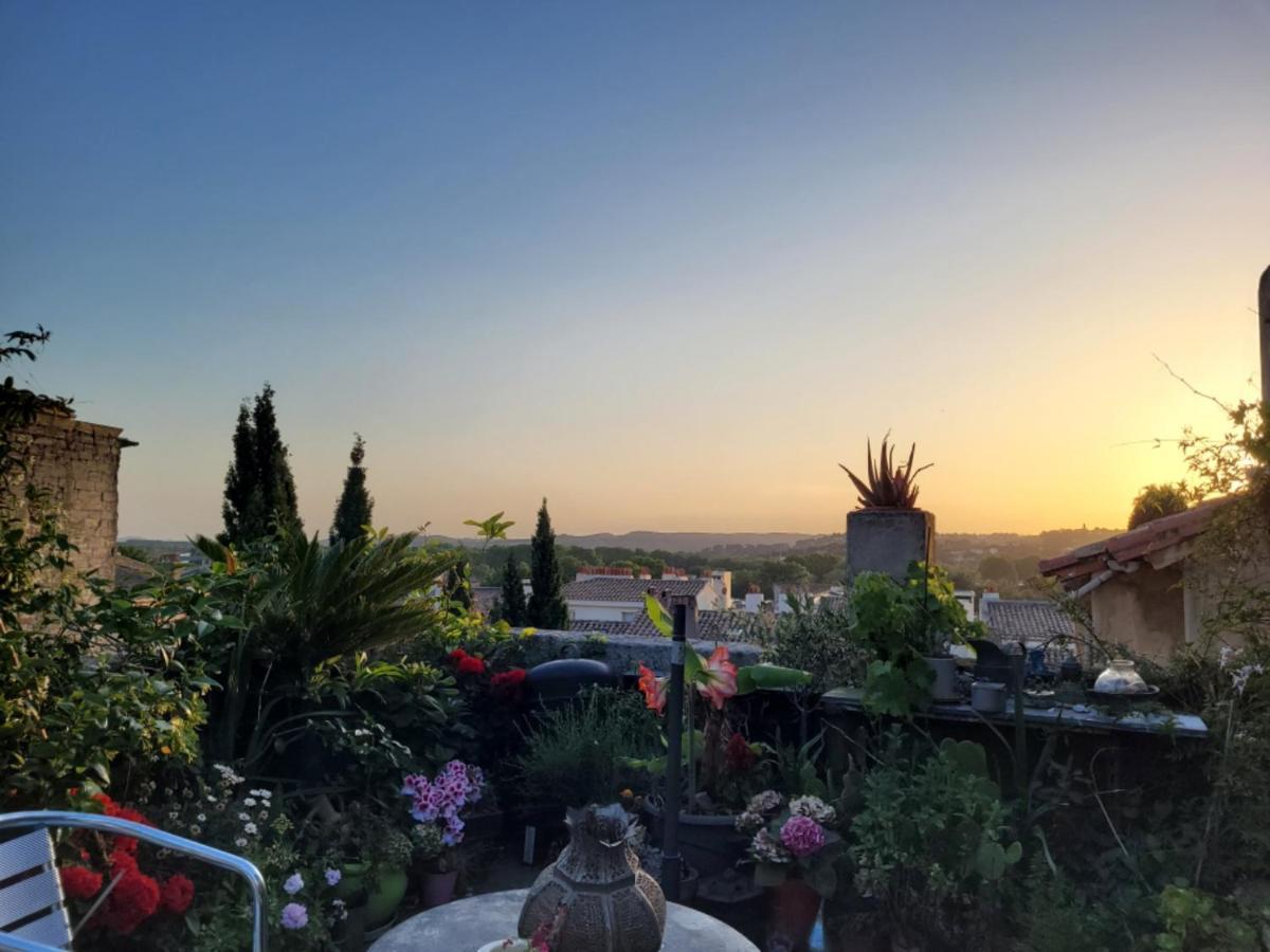 Un Nid Sur Les Toits Face Au Palais Des Papes Apartment Avignon