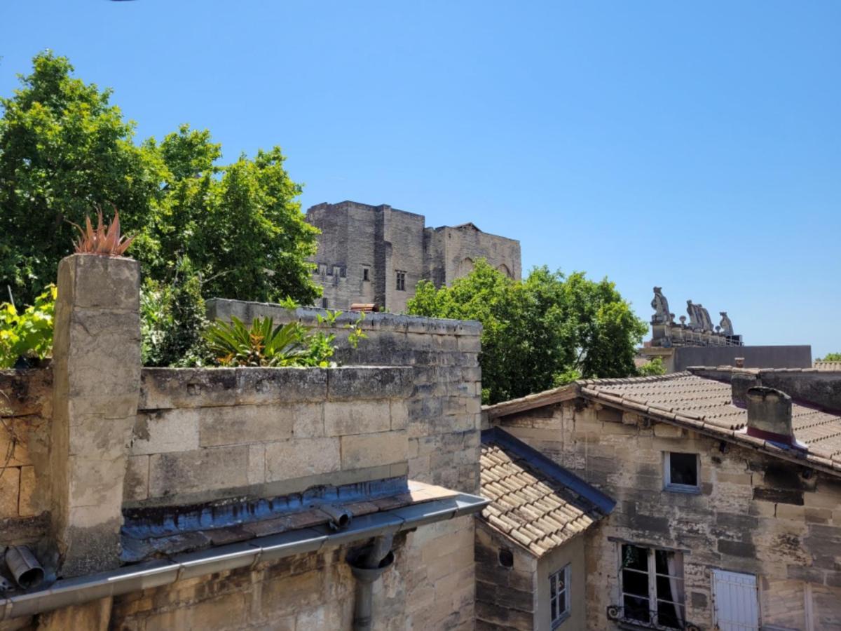 Un Nid Sur Les Toits Face Au Palais Des Papes Apartment