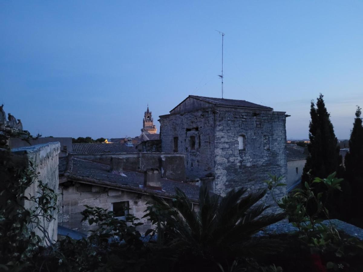 Un Nid Sur Les Toits Face Au Palais Des Papes Apartment