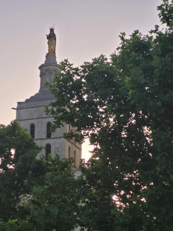 Un Nid Sur Les Toits Face Au Palais Des Papes