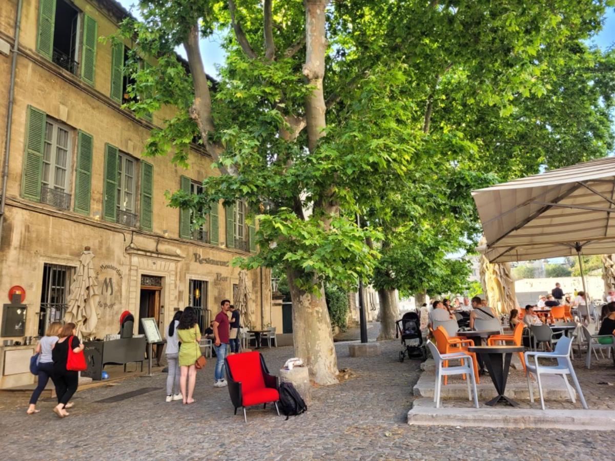 Un Nid Sur Les Toits Face Au Palais Des Papes *